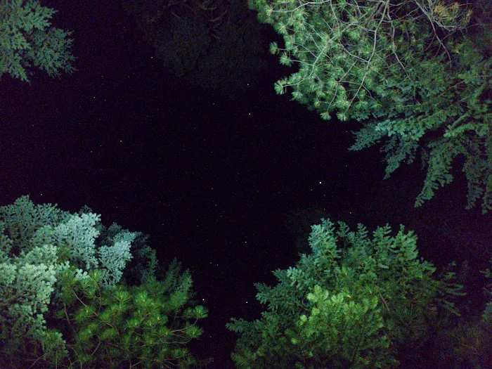Fox Creek Campground Picture 6