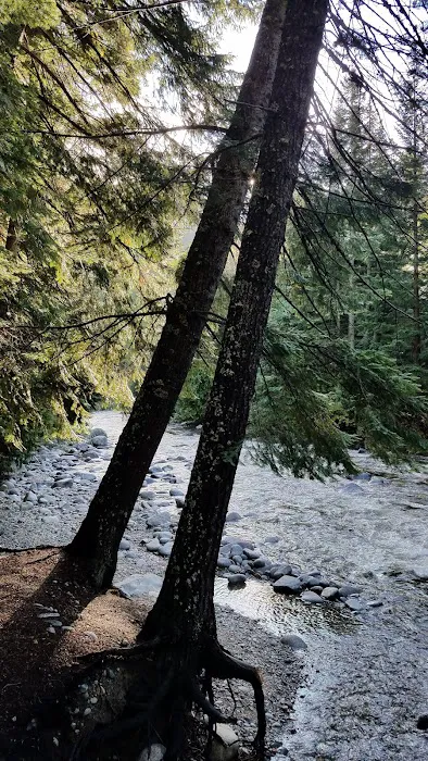Fox Creek Campground Picture 9