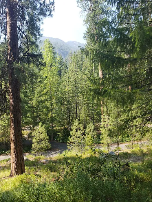 Fox Creek Campground Picture 10