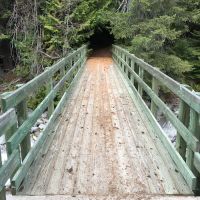 Lake Creek Campground ico