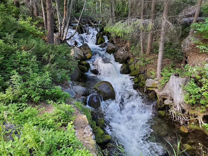 Lake Creek Campground Picture 3