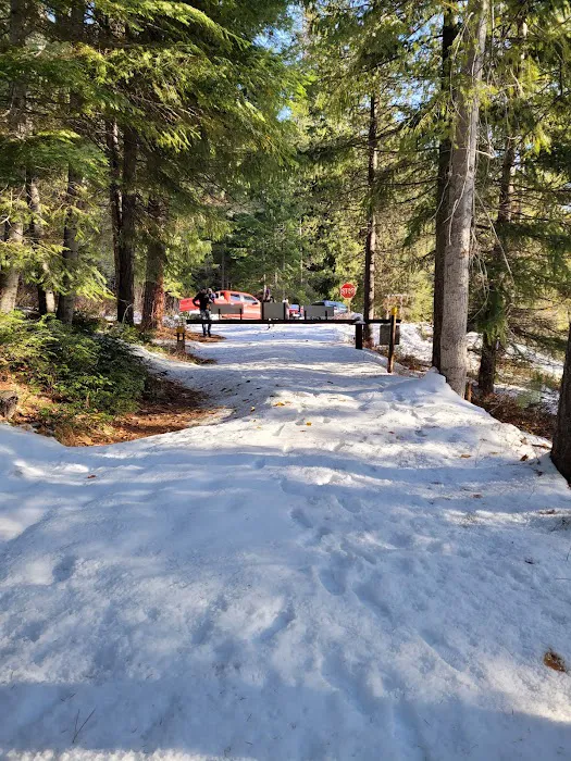 Lake Creek Campground Picture 4