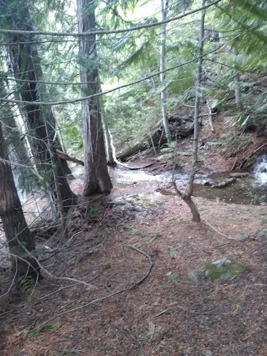 Lake Creek Campground Picture 5