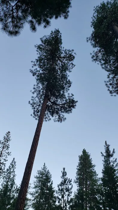 Lake Creek Campground Picture 8