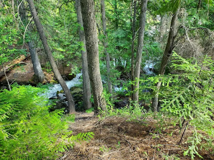 Lake Creek Campground Picture 9