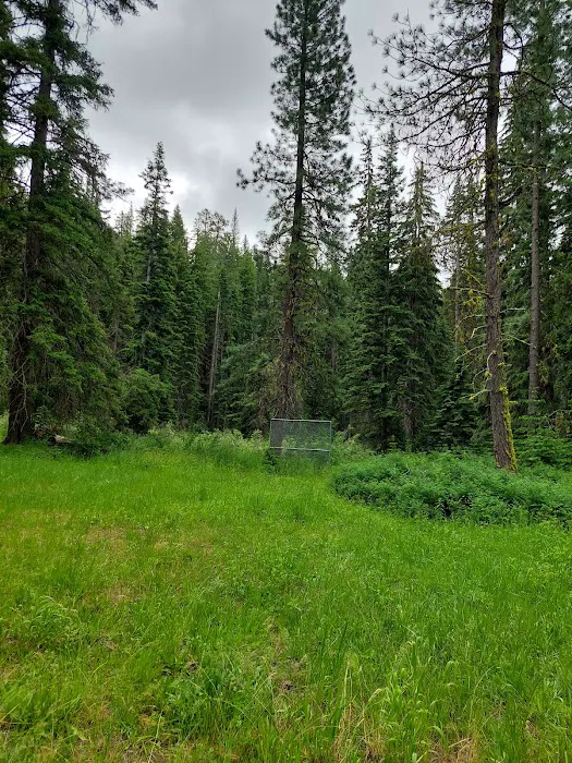 Swauk Campground Sno-Park Picture 7