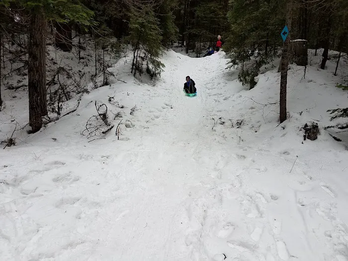Swauk Campground Sno-Park Picture 10