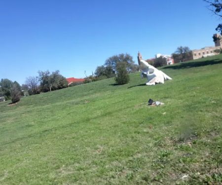 SUNNY SKIES RV PARK