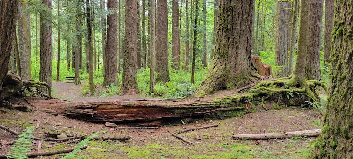 Squire Creek Campground Picture 8