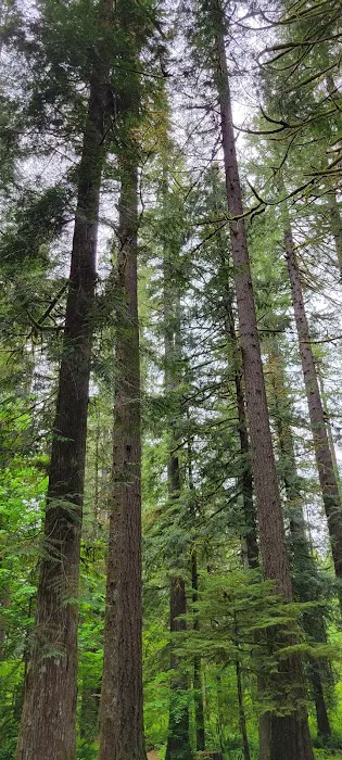 Squire Creek Campground Picture 10