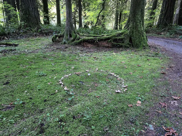 Squire Creek Campground Picture 9