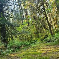 Sauk Park Campground ico