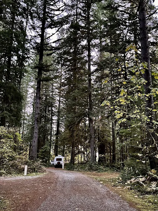Sauk Park Campground Picture 10
