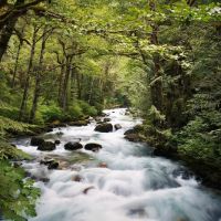 Mineral Park Campground ico