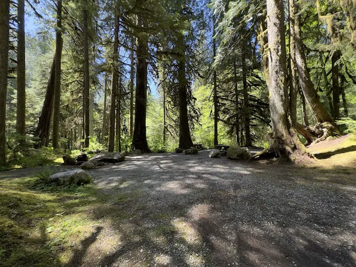 Mineral Park Campground Picture 3