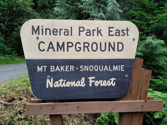 Mineral Park Campground Picture 4