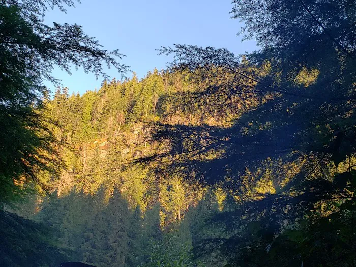 Mineral Park Campground Picture 6