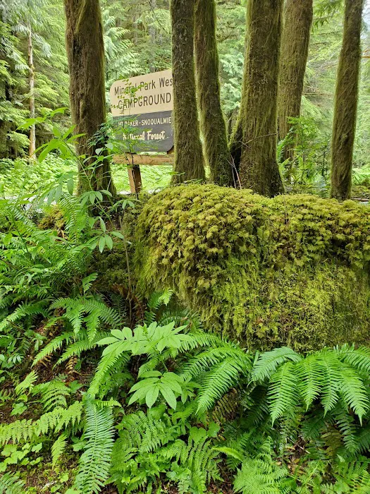 Mineral Park Campground Picture 9