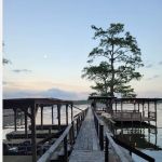 Tom Bell's rv park, boat landing and trailer rentals