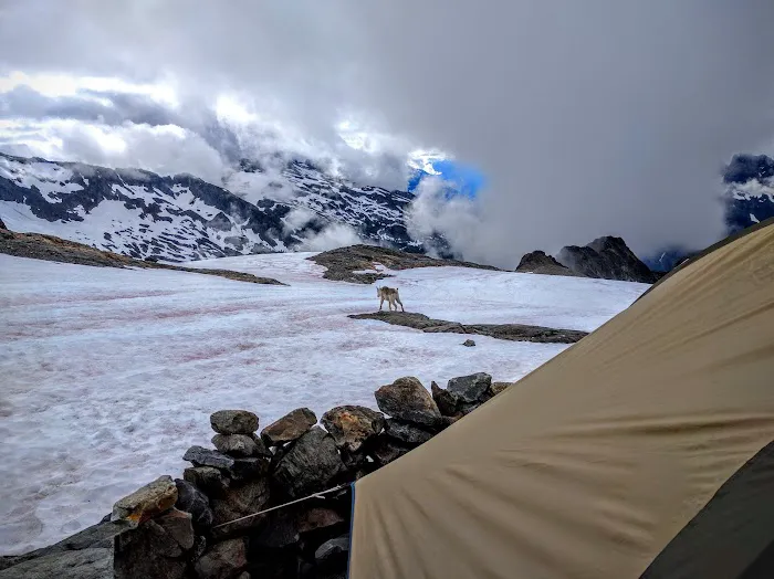 Sahale Glacier Campground Picture 4