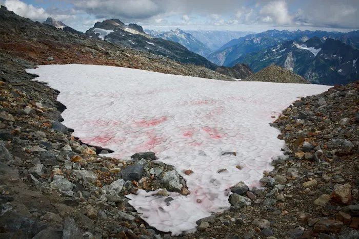 Sahale Glacier Campground Picture 7