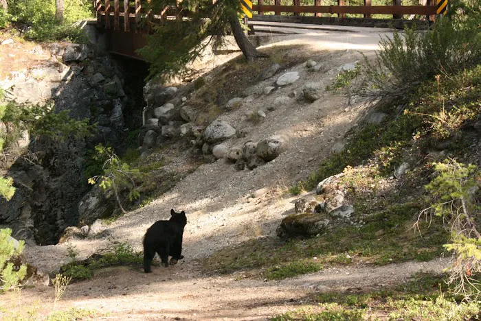 High Bridge Campground Picture 4