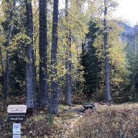 Holden Ballpark Campground ico