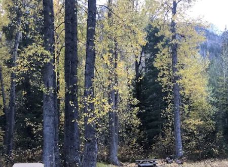 Holden Ballpark Campground