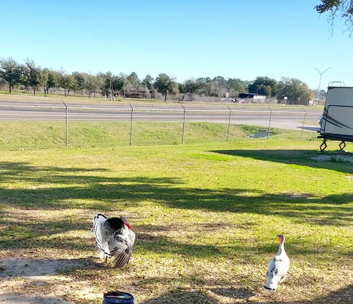 CountyLine RV Park Picture 5