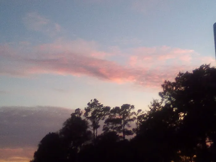 Meadow RV Park Picture 3