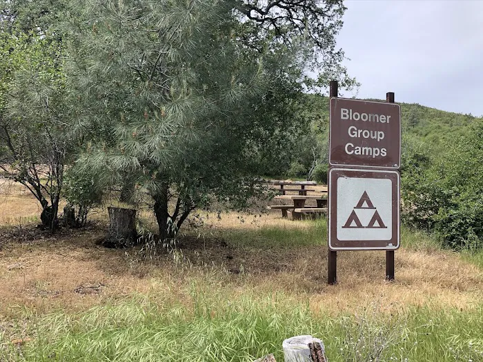 Bloomer North Fork Trail Campground Picture 3