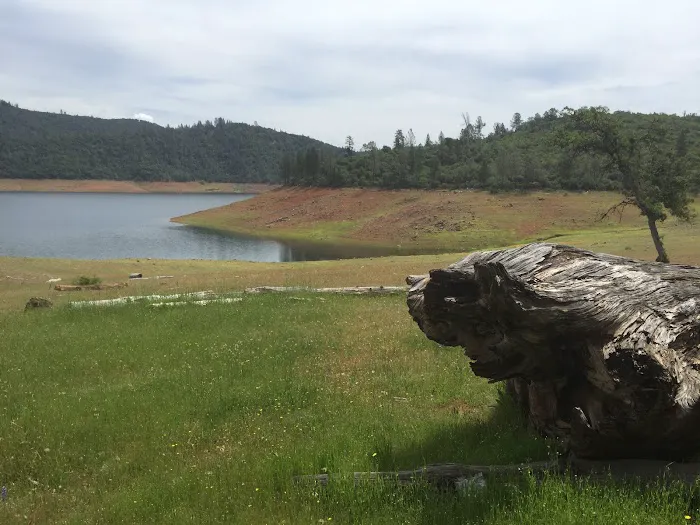 Bloomer North Fork Trail Campground Picture 6