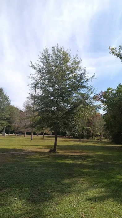Affordable RV park of Texas Picture 5