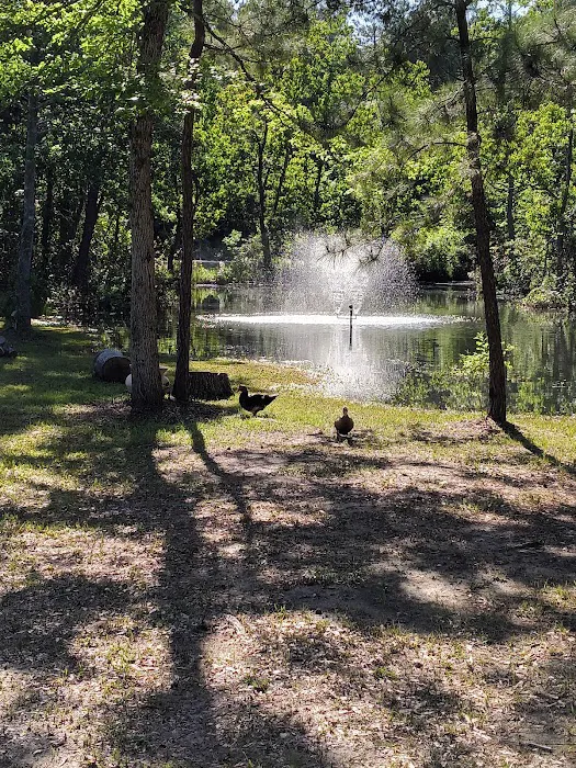 Affordable RV park of Texas Picture 10