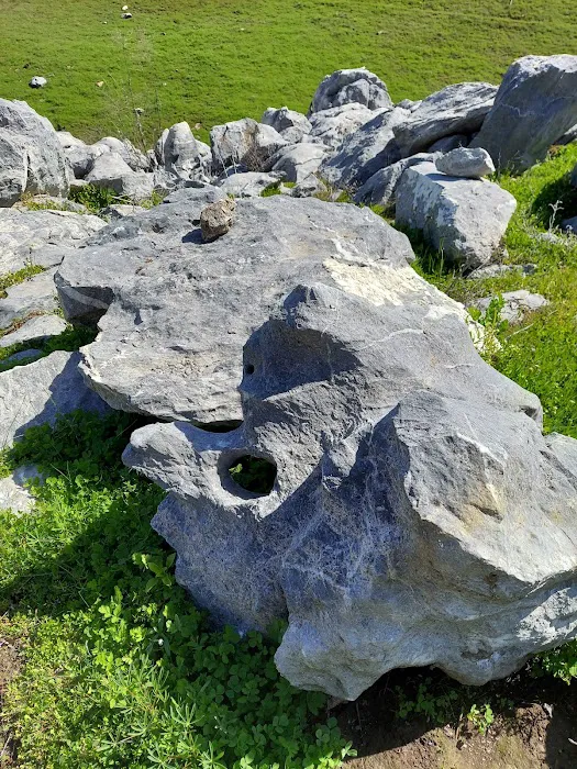 Lime Saddle Campground Picture 4