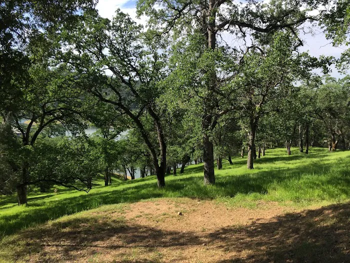Lime Saddle Campground Picture 7