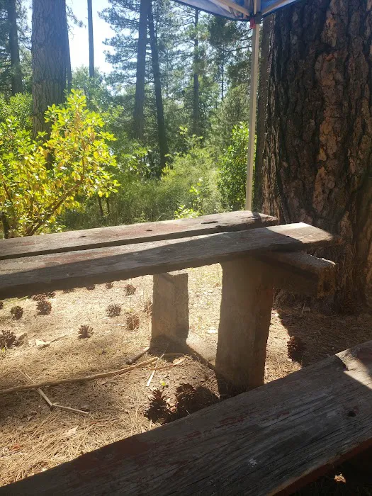 Lake Concow Campground Picture 8