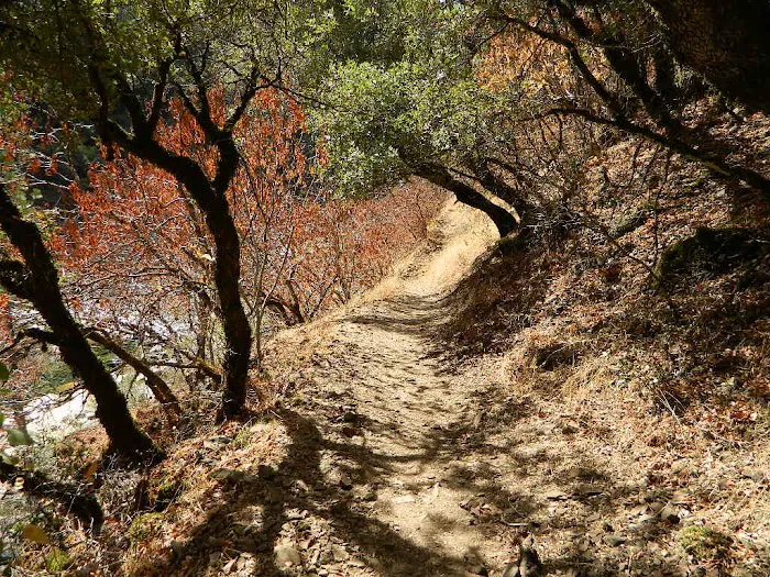 South Yuba Recreation Area Picture 4