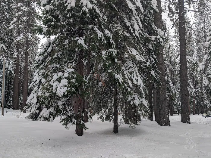 White Cloud Campground Picture 5