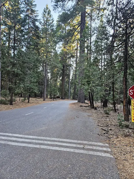 White Cloud Campground Picture 6