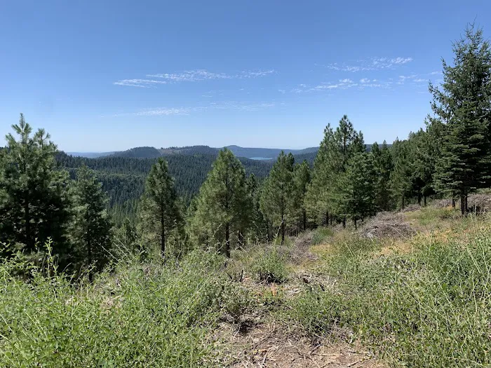 White Cloud Campground Picture 8