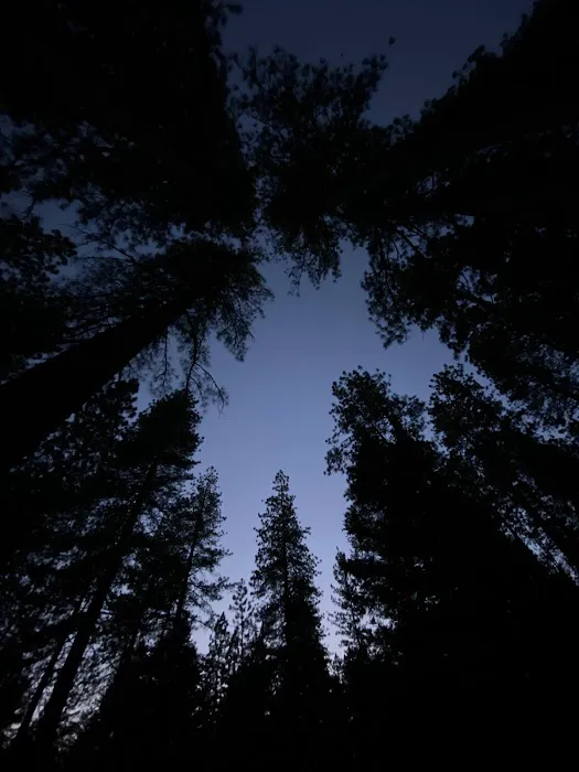 Chute Hill Campground Picture 10
