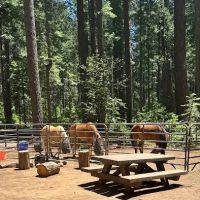 Skillman Campground ico
