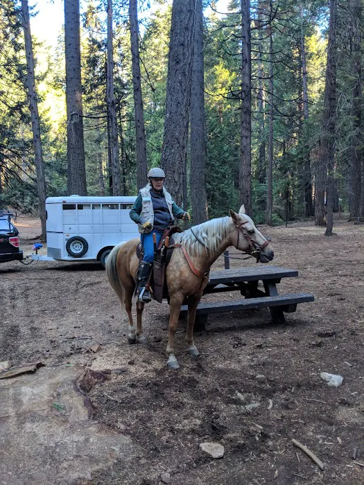 Skillman Campground Picture 4