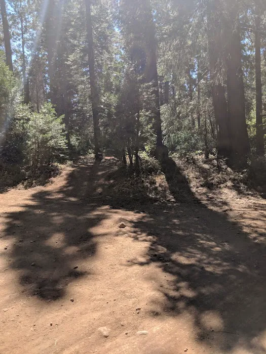 Skillman Campground Picture 6