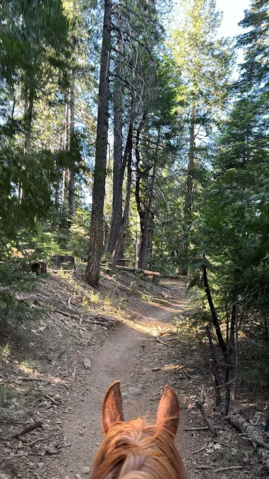 Skillman Campground Picture 7