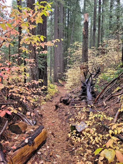 Skillman Campground Picture 10