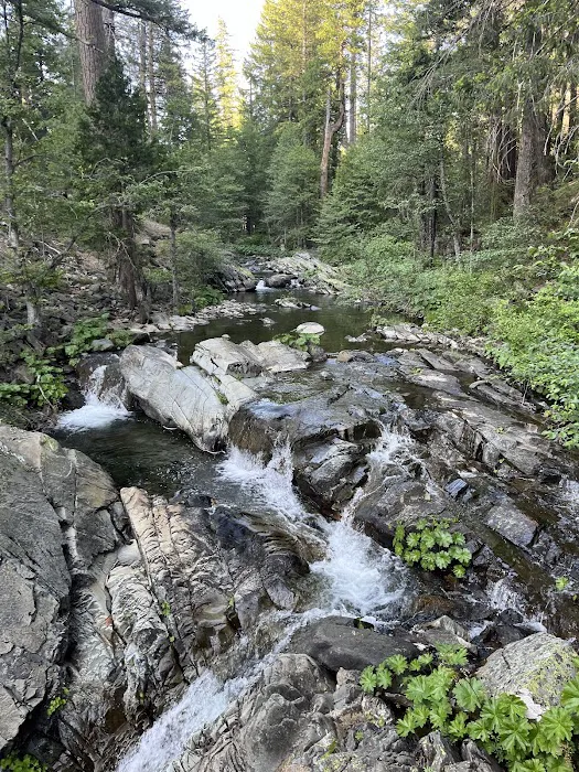 North Fork Campground Picture 5
