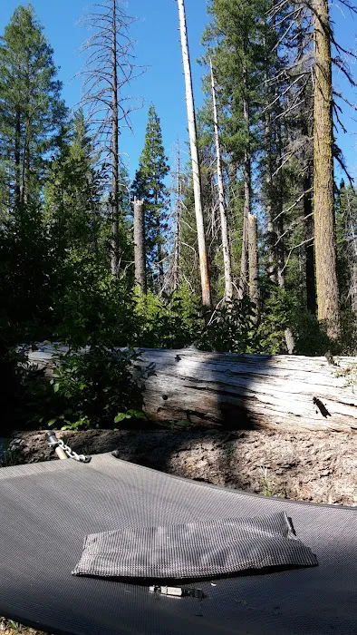 North Fork Campground Picture 6