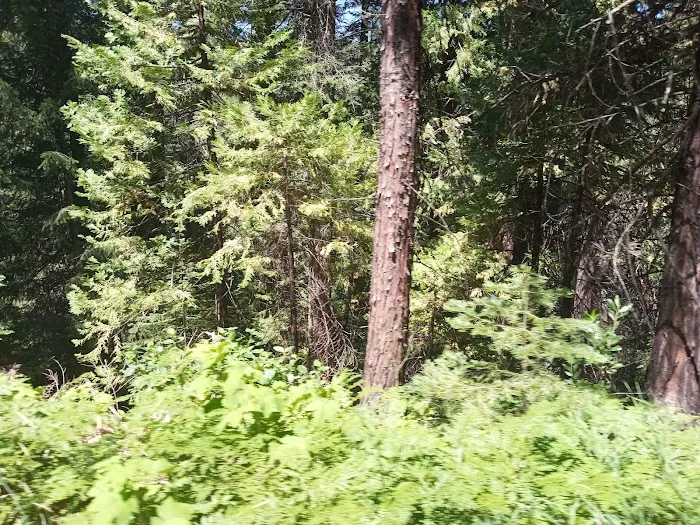 North Fork Campground Picture 7
